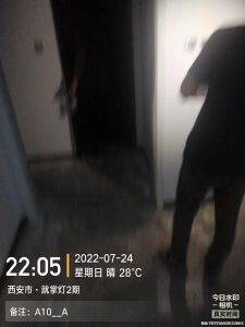 2025澳门原料免费